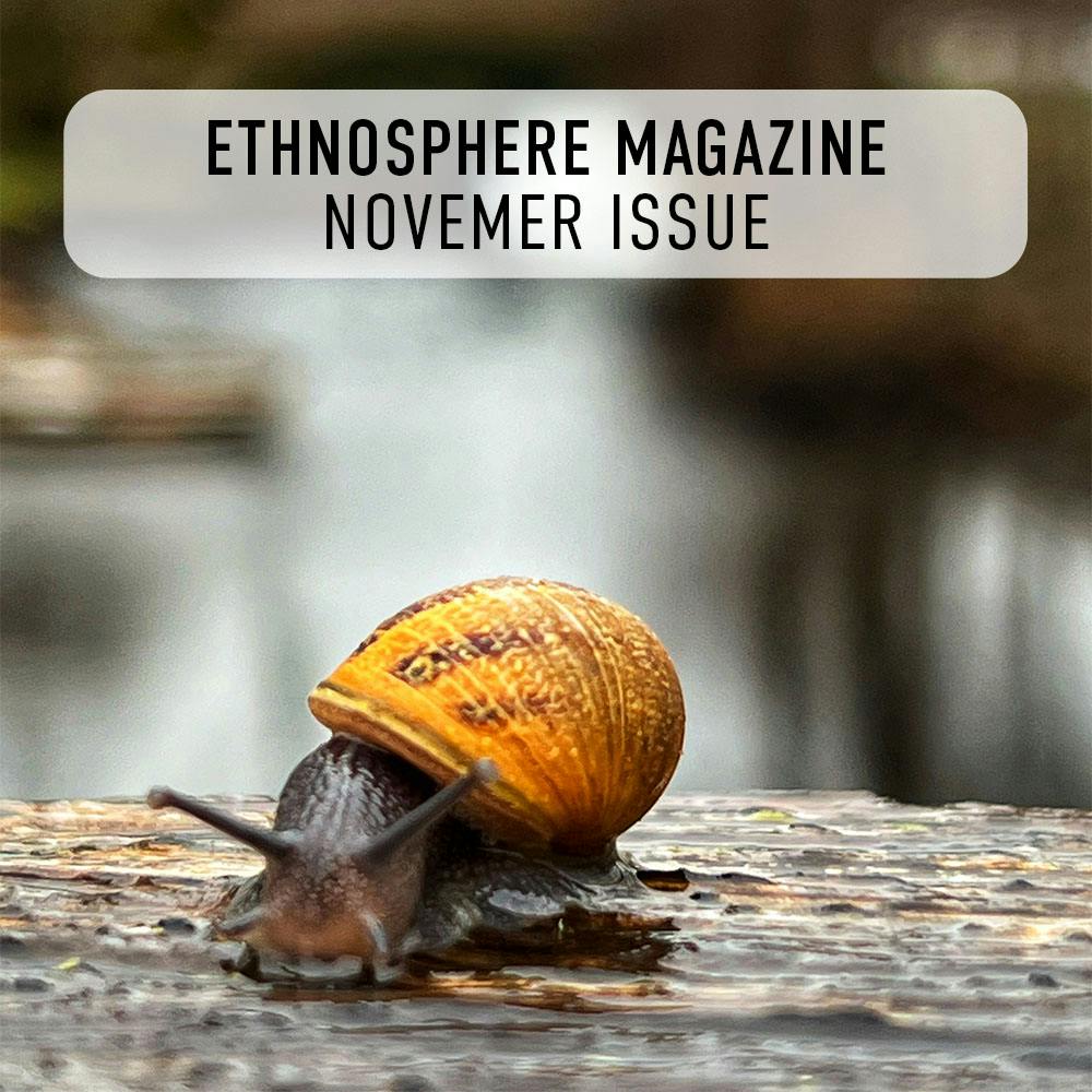 November issue Van